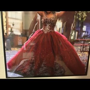 Quinceanera / Sweet 16 dress